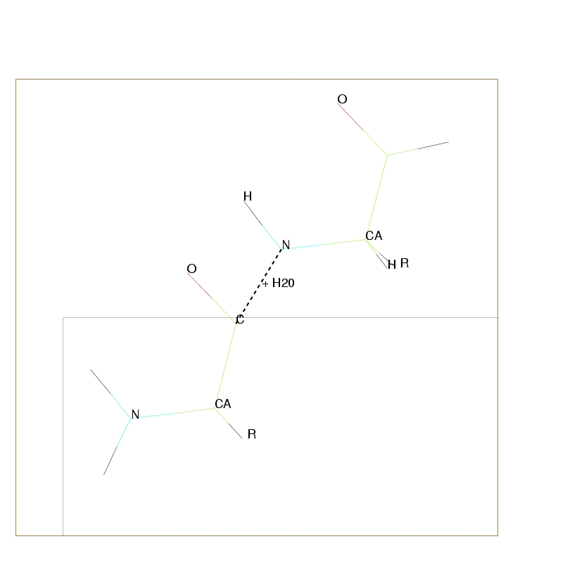 Polymérisation de deux acides aminés