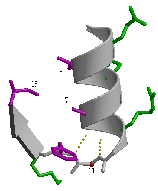 \includegraphics[width=3.5cm]{Images/Chapitre_2_Proteines/I-sites/fig5.PS}