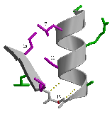 \includegraphics[width=3.5cm]{Images/Chapitre_2_Proteines/I-sites/fig6.PS}