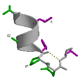 \includegraphics[width=3.5cm]{Images/Chapitre_2_Proteines/I-sites/fig7.PS}
