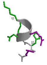 \includegraphics[width=3.5cm]{Images/Chapitre_2_Proteines/I-sites/fig8.PS}
