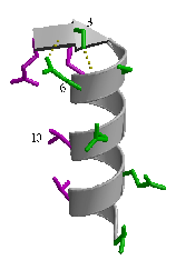 \includegraphics[width=3.5cm]{Images/Chapitre_2_Proteines/I-sites/fig9.PS}