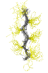 \includegraphics[width=3.5cm]{Images/Chapitre_2_Proteines/I-sites/fig10.o.PS}