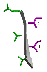 \includegraphics[width=3.5cm]{Images/Chapitre_2_Proteines/I-sites/fig10.PS}