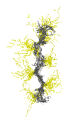 \includegraphics[width=3.5cm]{Images/Chapitre_2_Proteines/I-sites/fig11.o.PS}