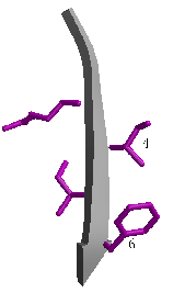 \includegraphics[width=3.5cm]{Images/Chapitre_2_Proteines/I-sites/fig11.PS}