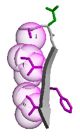 \includegraphics[width=3.5cm]{Images/Chapitre_2_Proteines/I-sites/fig12.PS}