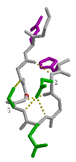 \includegraphics[width=3.5cm]{Images/Chapitre_2_Proteines/I-sites/fig13.PS}