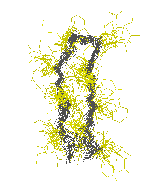 \includegraphics[width=3.5cm]{Images/Chapitre_2_Proteines/I-sites/fig14.o.PS}
