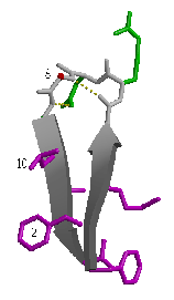 \includegraphics[width=3.5cm]{Images/Chapitre_2_Proteines/I-sites/fig14.PS}