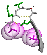 \includegraphics[width=3.5cm]{Images/Chapitre_2_Proteines/I-sites/fig15.PS}